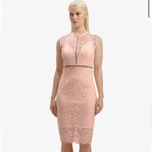 Bardot Dusty Pink Lace Panel Knee Length Dress High Neck Sleeveless Size 8/M